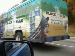 bearbus