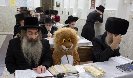 JewishLion