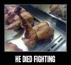 diedfighting